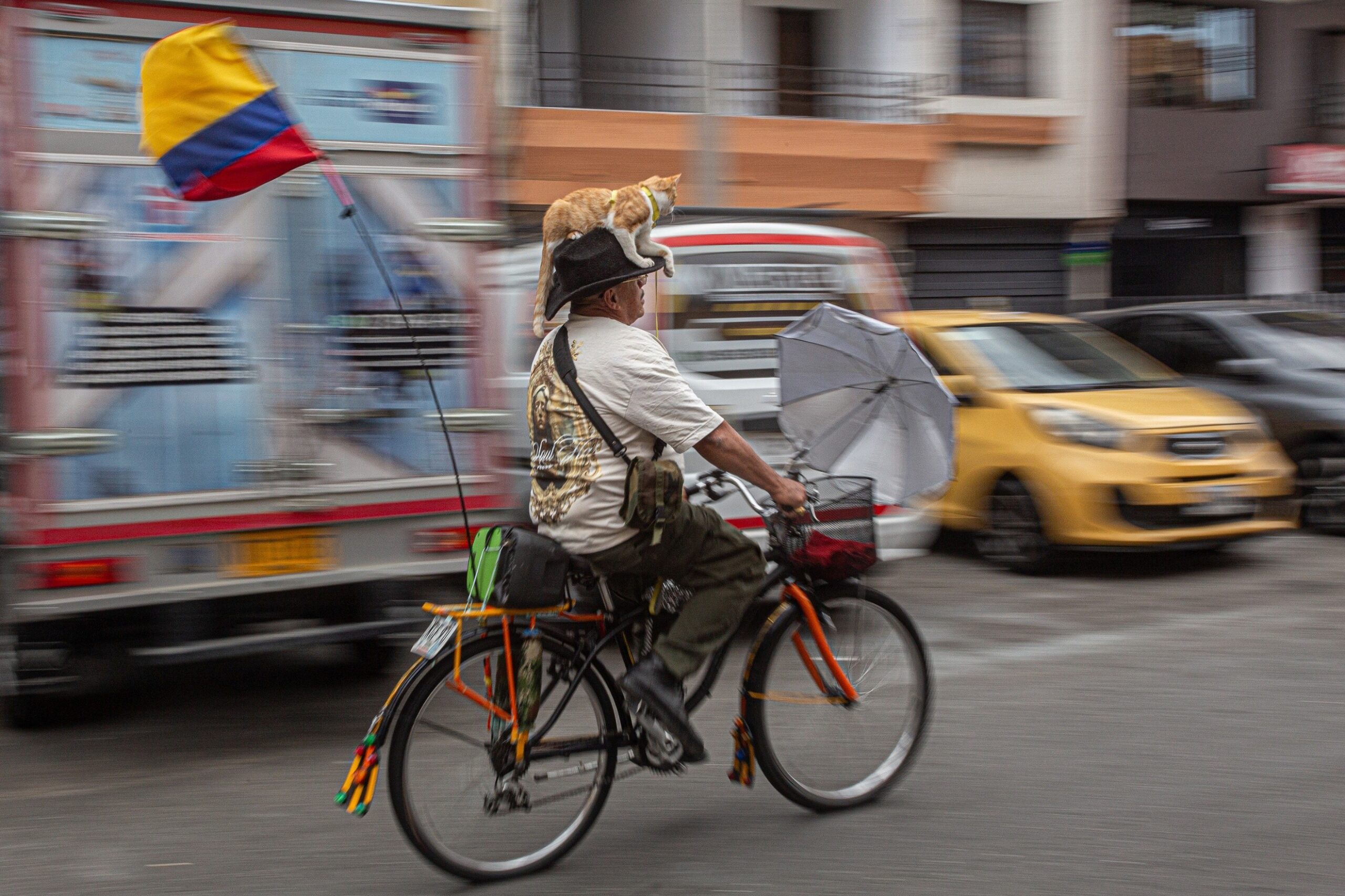Pedro Londoño — Medellín, Colombia. A man rides through the city on his bicycle while his cat rests calmly on his head.