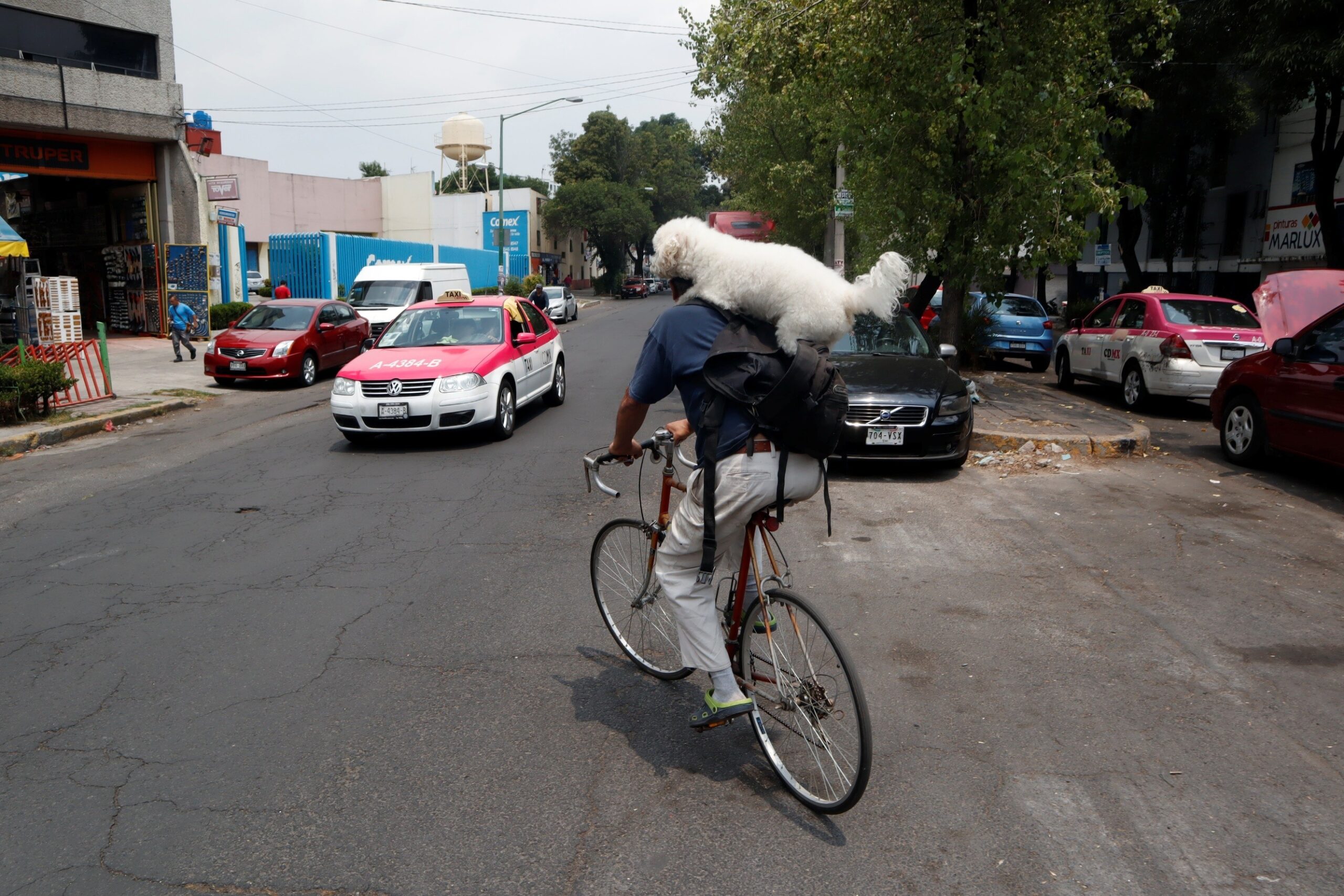 José Luna — Mexico City, Mexico. A man carries a dog on his back while riding his bicycle through the city.